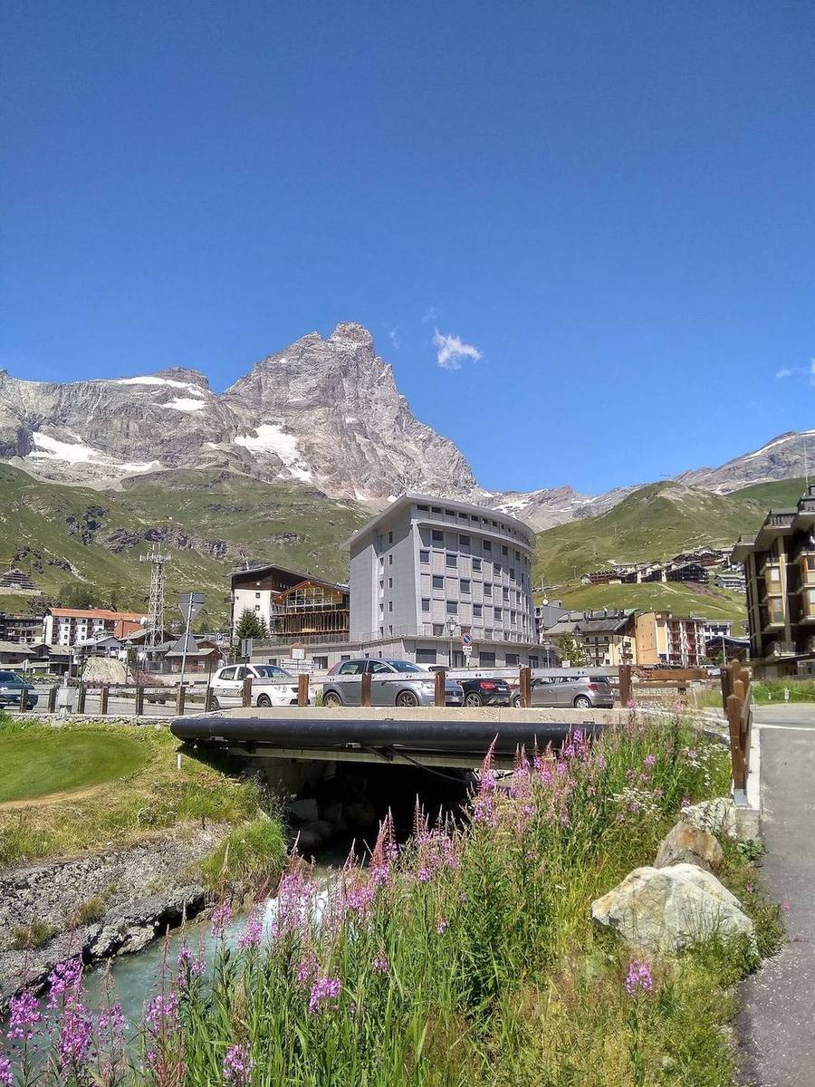 Cervinia d'estate, prato fiorito