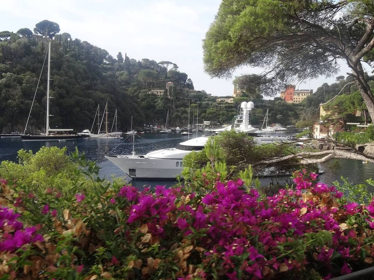 Bouganville sul molo