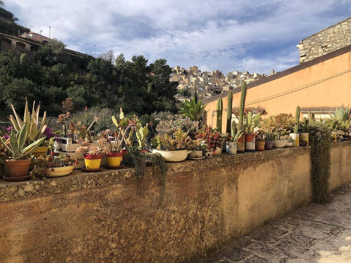 Terrazza con fichi d'india sopra il centro storico