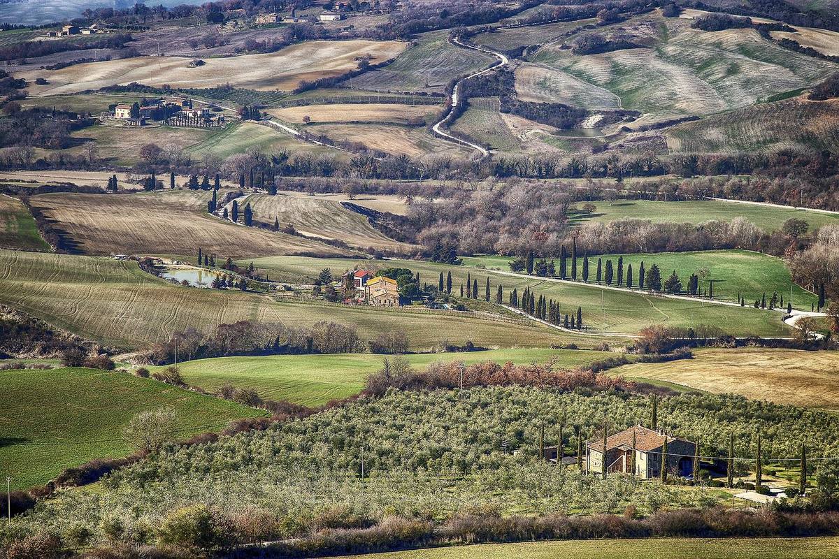 Campi e siepi della Toscana