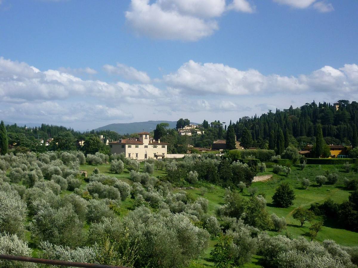 Villa in mezzo all'oliveto
