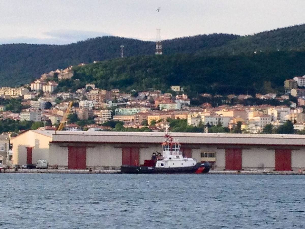 Case sulla collina sopra il porto